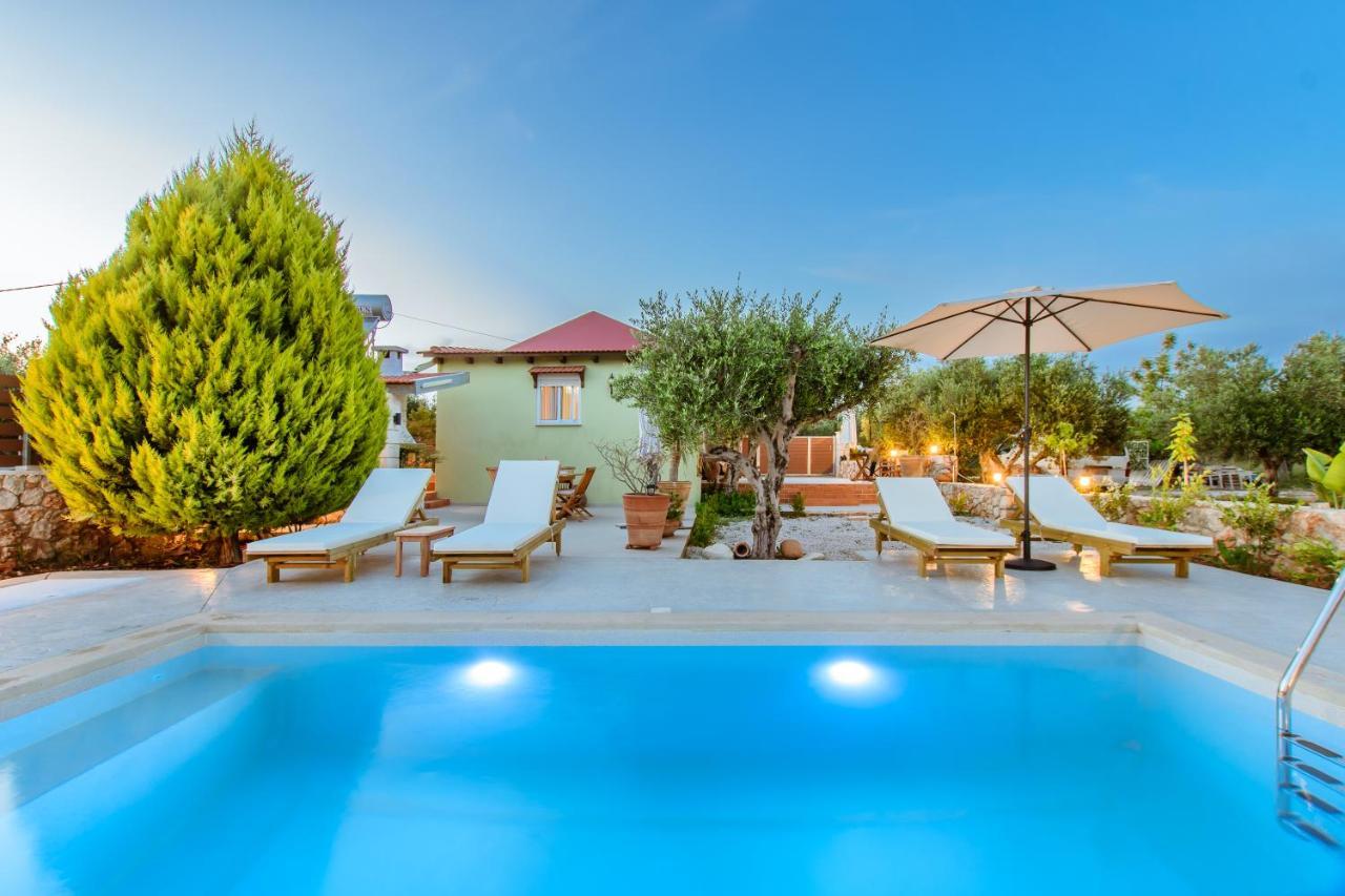 Villa Elaionas Sternai Exterior photo
