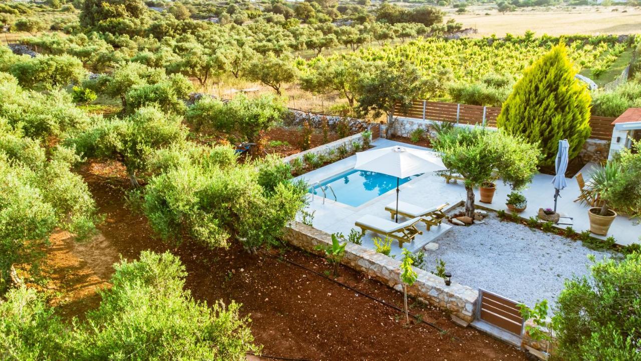 Villa Elaionas Sternai Exterior photo